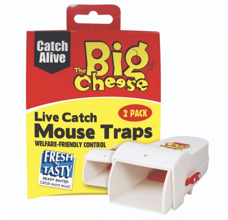 02AF15A4-67EC-4054-B012-19C522B0C168